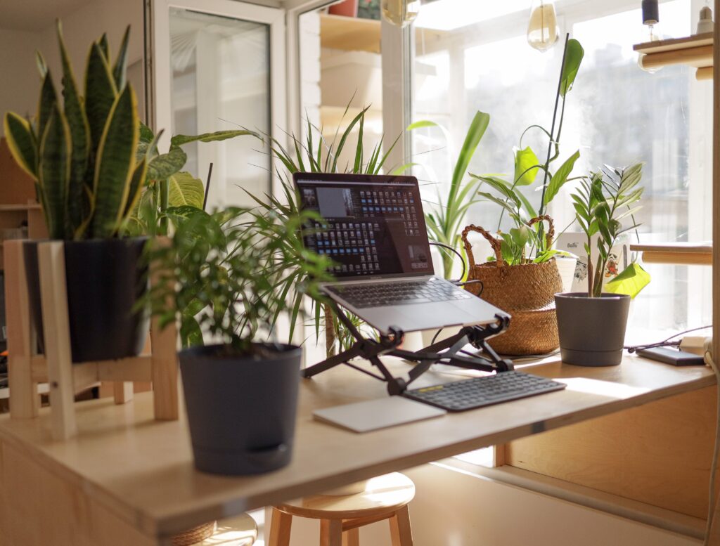 Creating a Productive Environment for Remote Work